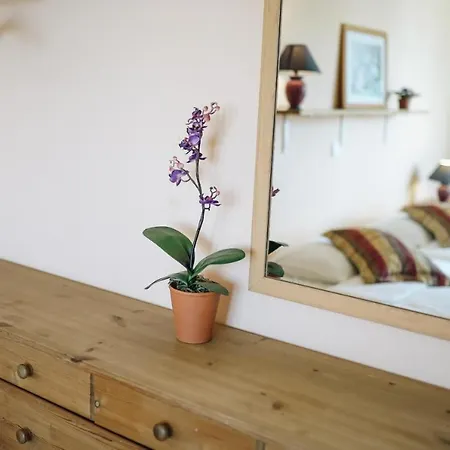 Sea View 5c Apartament *